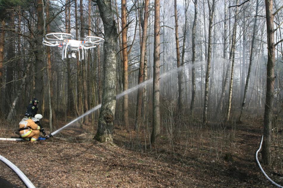 Дроны и нейросети помогут выявлять мусор на побережье Нижне-Свирского заповедника